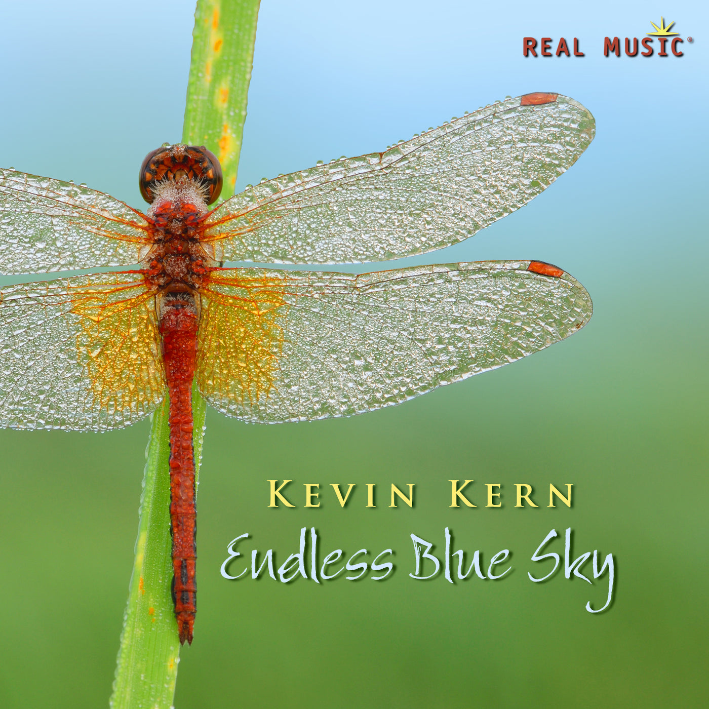 Endless Blue Sky by Kevin Kern, cd cover.